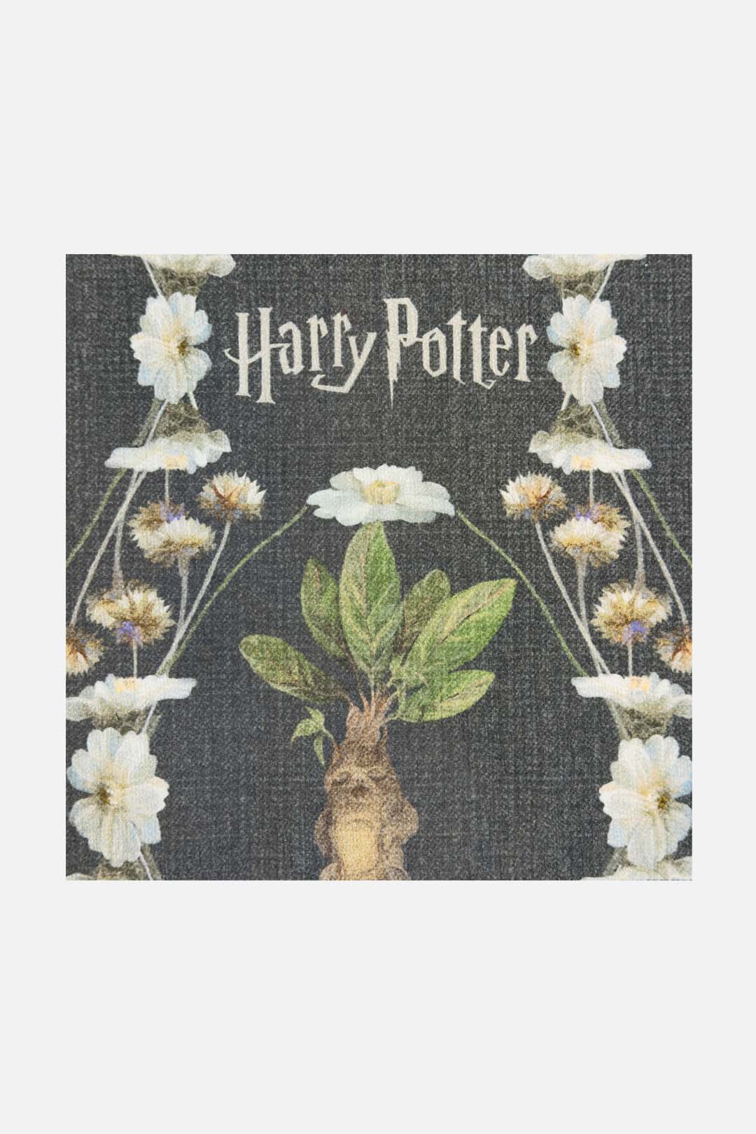 Harry Potter™ Alraune Basalt Teppich - Image 3