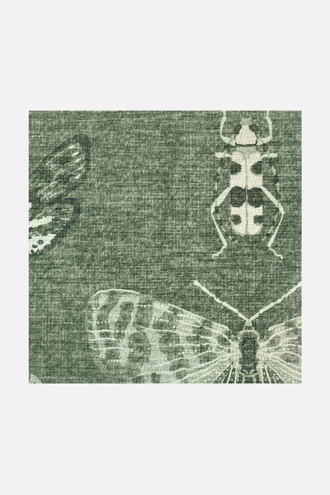 Schmetterling Salbei Teppich - Image 7
