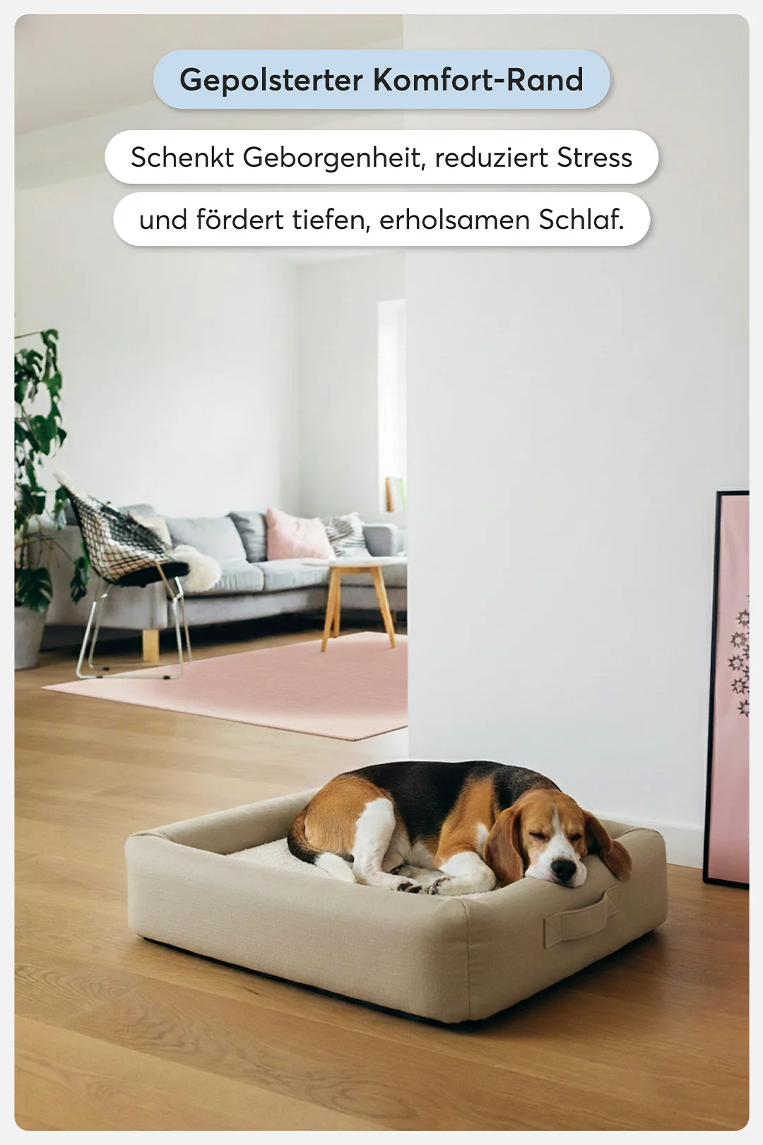 Orthopädisches Hundebett Pure Beige - Image 11