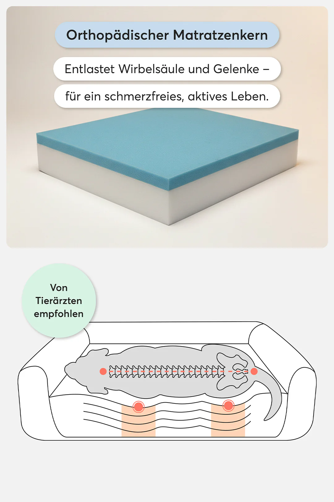 Orthopädisches Hundebett Pure Beige - Image 2
